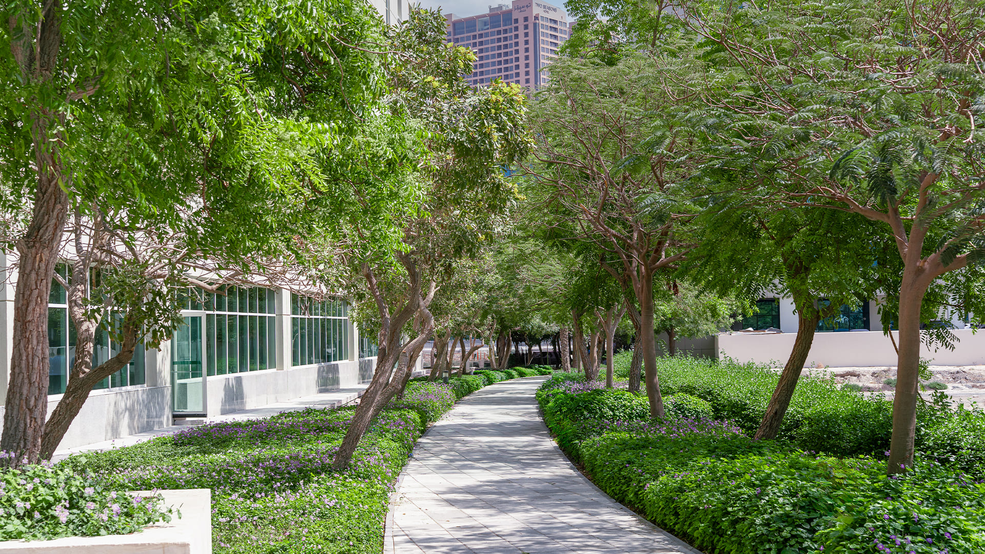 Akar Landscaping outdoor project