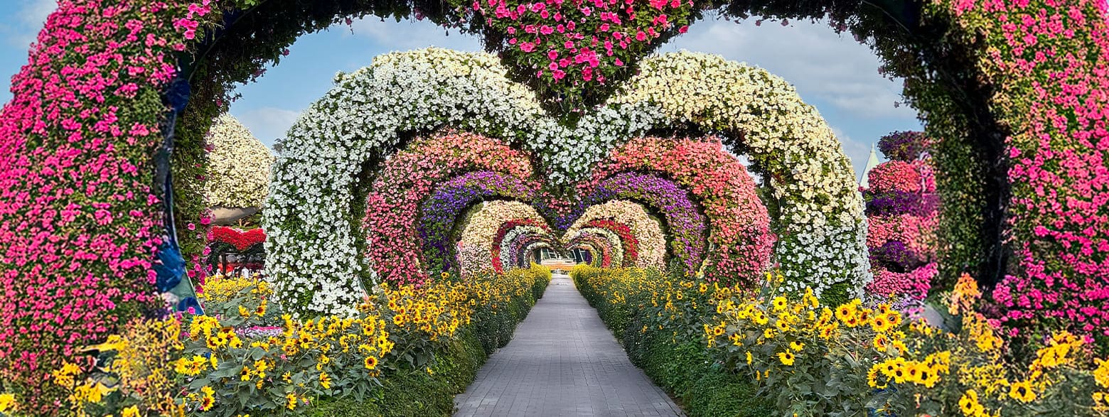 Heart Tunnel at Dubai Miracle Garden