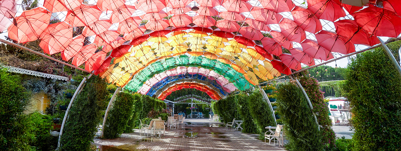 Umbrella Passage at Dubai Miracle Garden
